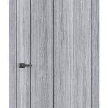 Вектор 225, Красноярск
